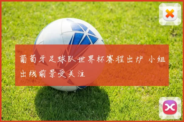 葡萄牙足球队世界杯赛程出炉 小组出线前景受关注