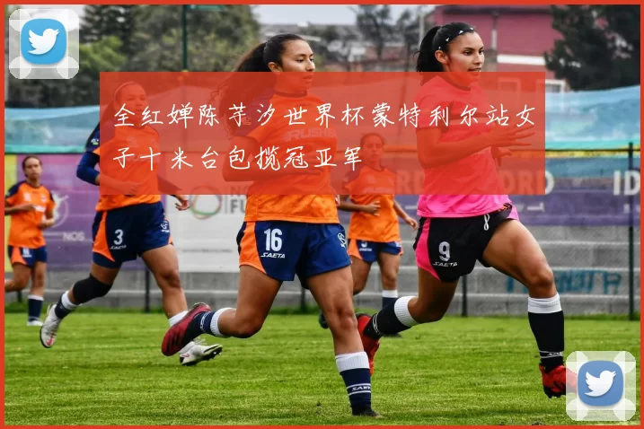 全红婵陈芋汐世界杯蒙特利尔站女子十米台包揽冠亚军