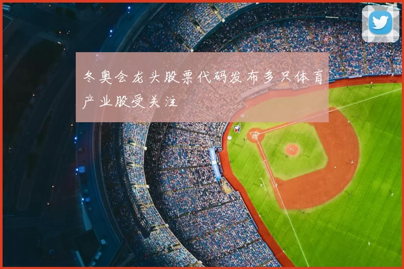 冬奥会龙头股票代码发布多只体育产业股受关注