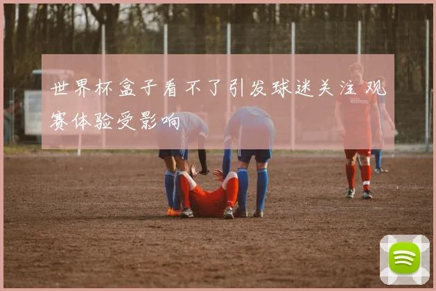 世界杯盒子看不了引发球迷关注 观赛体验受影响