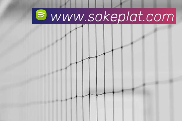 尊龙凯时.(中国)官方网站 - 人生就是搏!平台生态图